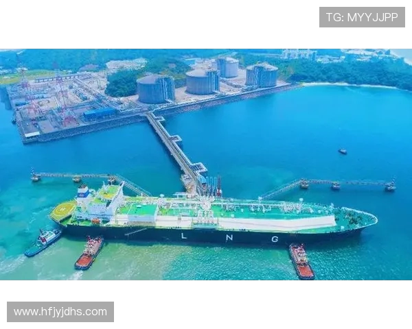 北京羽毛球队的整体压制革新之路与未来展望分析