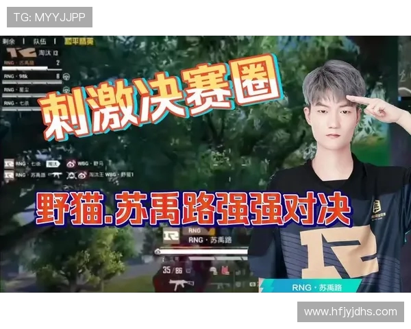 和平精英赛事分析：RNG战队的比赛经验与战术探讨