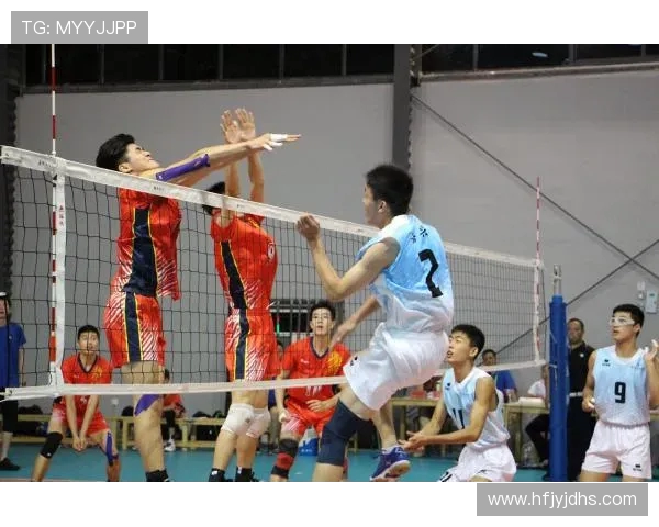 杭州排球队包夹战术解析与排球热点动态探讨 杭州排球队包夹战术解析与排球热点动态探讨