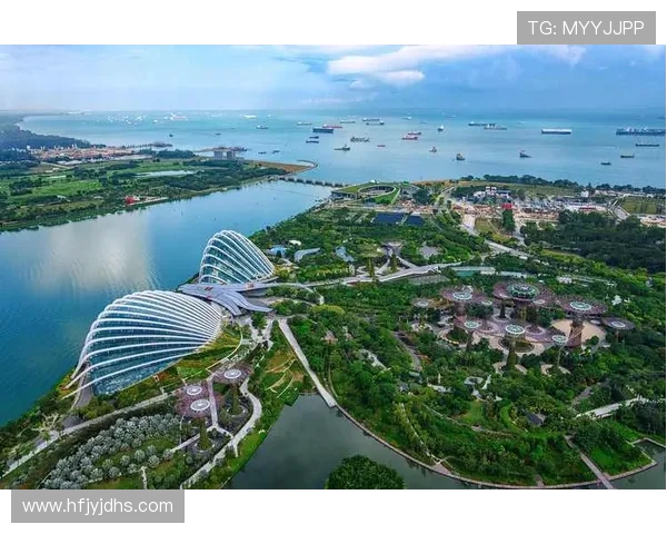 深圳飞盘队引领潮流的节奏革新之路与未来展望 深圳飞盘队引领潮流的节奏革新之路与未来展望