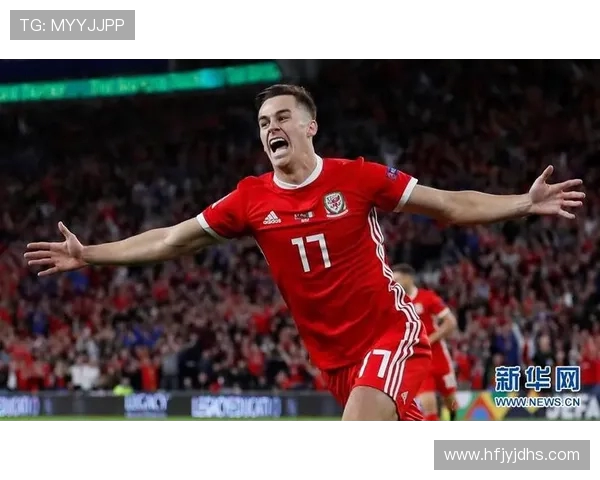 威尔士与爱尔兰比赛前瞻及胜负预测分析详解