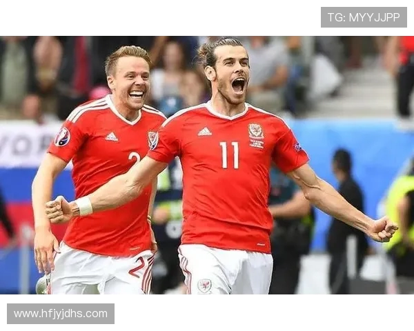 奥地利与匈牙利对决前瞻分析双方实力与战术布局探讨