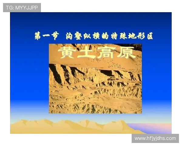 岐阜与坻的对决探索两地文化与风俗的独特魅力与差异