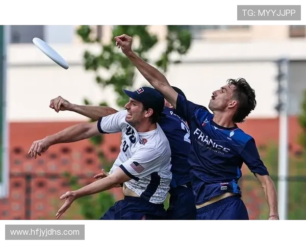 飞盘战术：成都飞盘队的控制体系