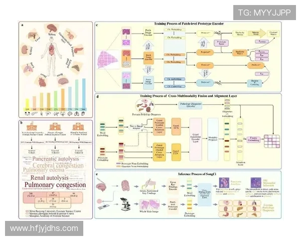 北京街舞队员个人能力深度对比与分析揭示团队竞争力与发展潜力