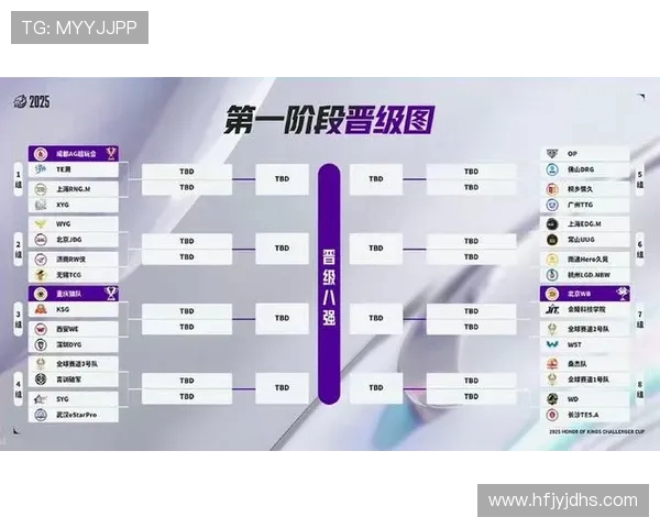 TES在挑战者杯中的耐力表现分析与总结